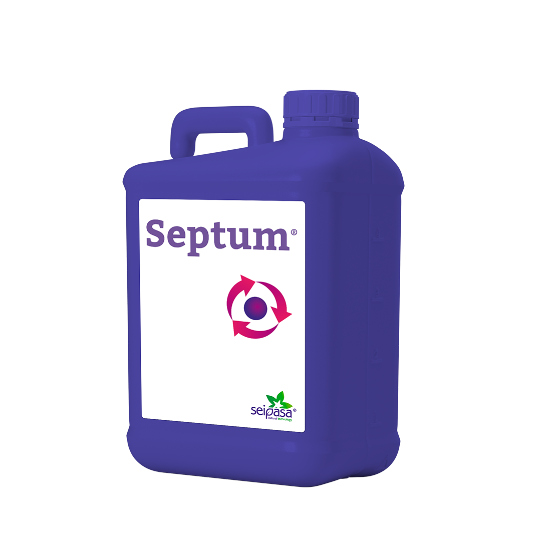 Septum - Betta Biotecnología