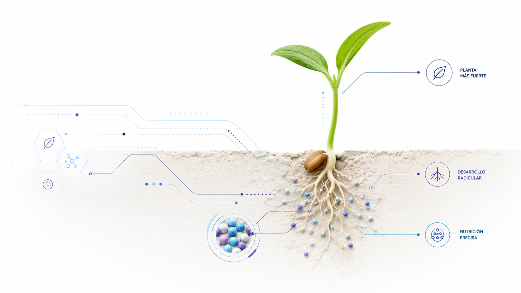 Imágenes fertilizantes microgranulados blog betta biotecnologia